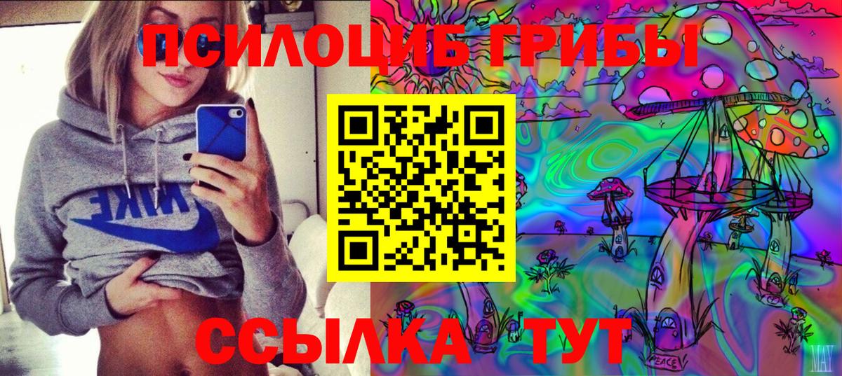 Галлюциногенные грибы Psilocybe Гулькевичи